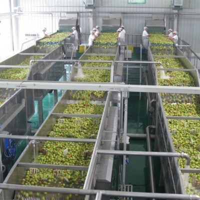 恒立宇 不锈钢食品级 芒果汁加工设备 原浆生产线 1T-10T/H