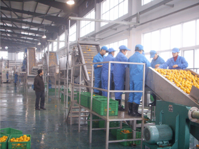 恒立宇 不锈钢食品级 芒果汁加工设备 原浆生产线 1T-10T/H图3