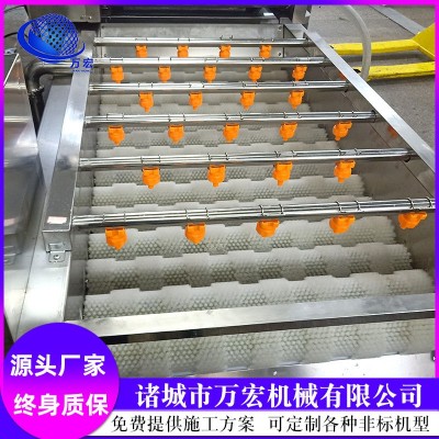 气泡清洗机 圣女果高压清洗设备 水果蔬菜喷淋式清洗机器