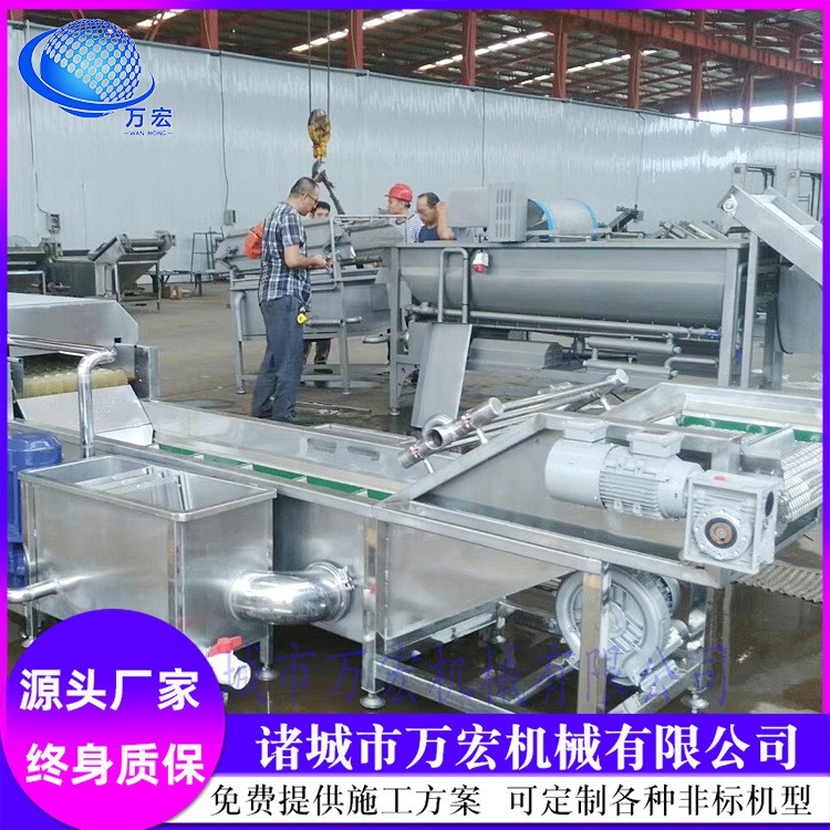 气泡清洗机 圣女果高压清洗设备 水果蔬菜喷淋式清洗机器图4