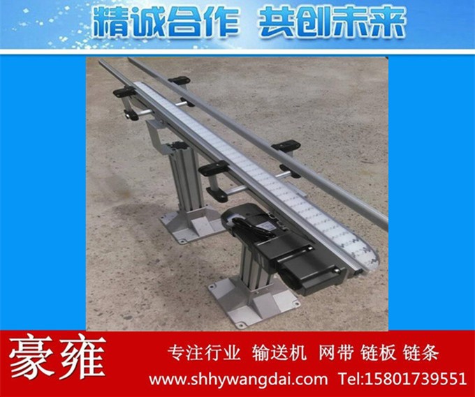 制作肉类食品传送线 柔性输送线 吹塑全自动化生产线 网链输送机