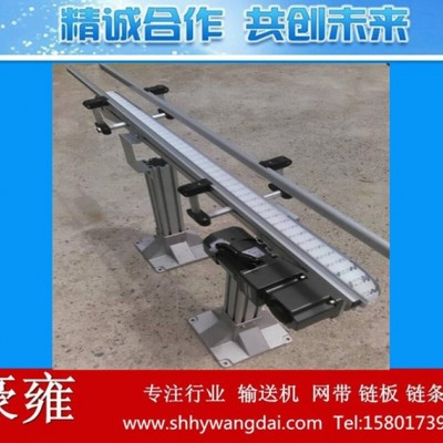 制作肉类食品传送线 柔性输送线 吹塑全自动化生产线 网链输送机