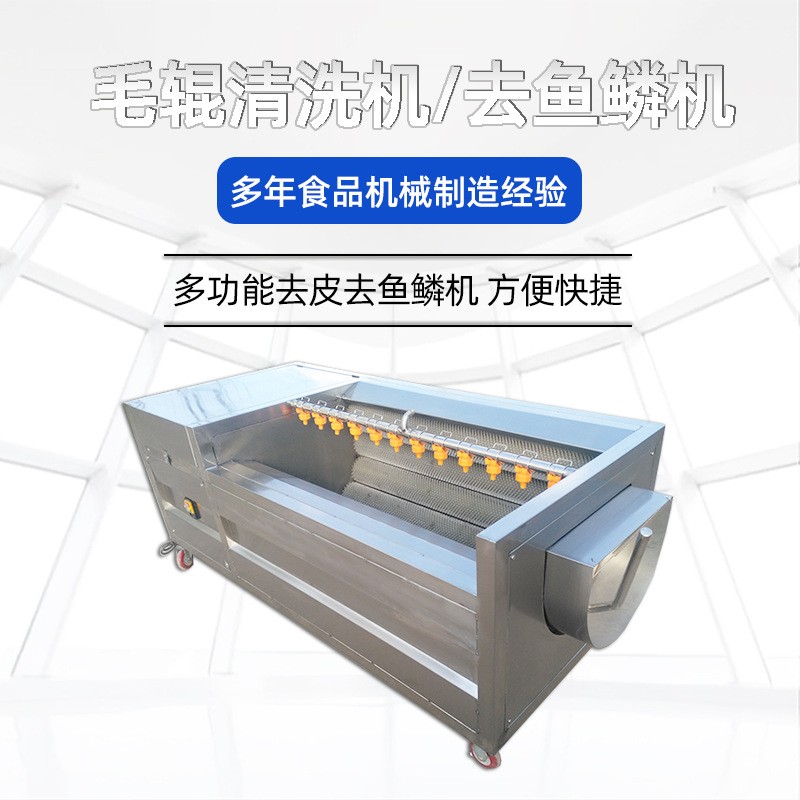果蔬清洗机 香菇毛辊清洗设备 土豆红薯去皮机 不锈钢清洗设备图2