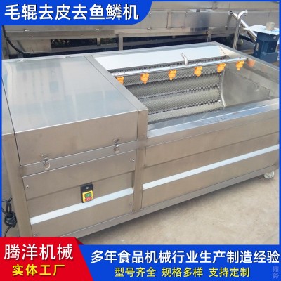 果蔬清洗机 香菇毛辊清洗设备 土豆红薯去皮机 不锈钢清洗设备