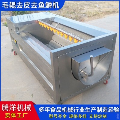 不锈钢毛辊清洗去皮机 土豆果蔬去皮清洗机 羊头羊蹄清洗机器
