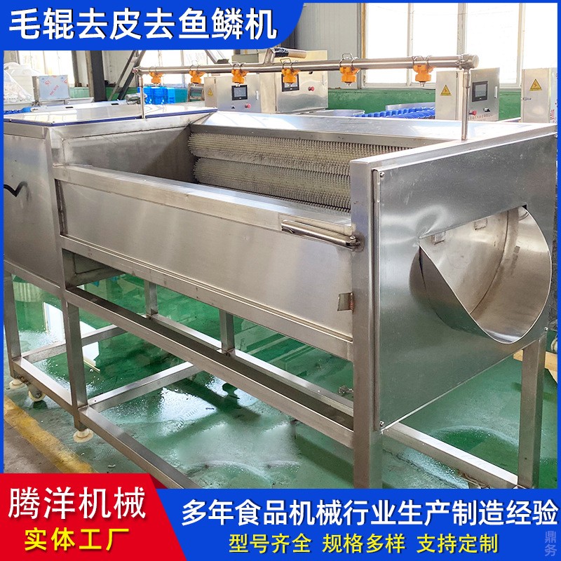 不锈钢毛辊清洗去皮机 土豆果蔬去皮清洗机 羊头羊蹄清洗机器图3