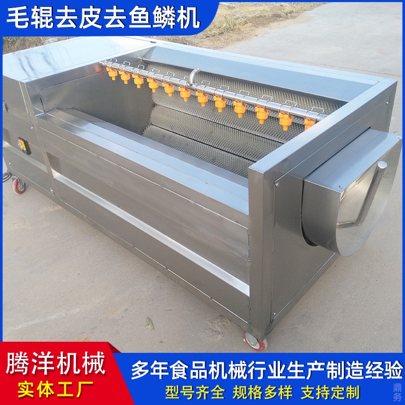 不锈钢毛辊清洗去皮机 土豆果蔬去皮清洗机 羊头羊蹄清洗机器图2