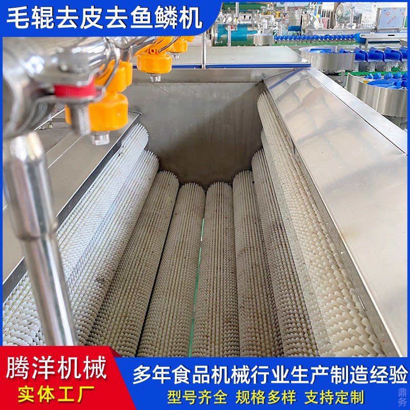 不锈钢毛辊清洗去皮机 土豆果蔬去皮清洗机 羊头羊蹄清洗机器图4