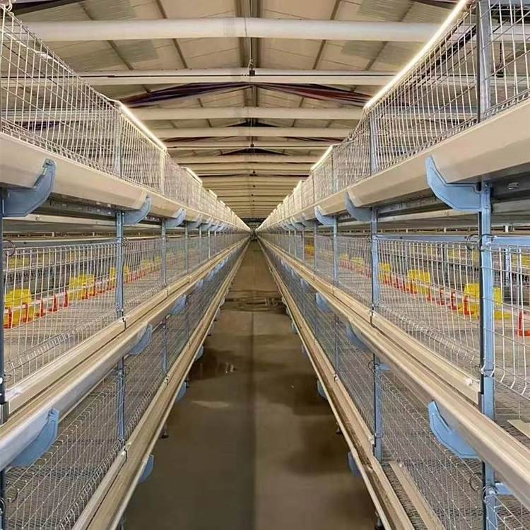 肉鸡笼养设备全自动肉鸡笼养鸡设备 养殖场可用管理方便