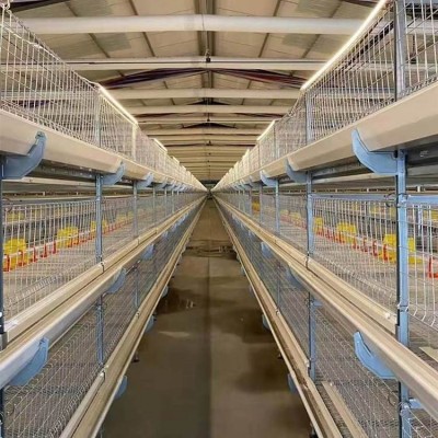 肉鸡笼养设备全自动肉鸡笼养鸡设备 养殖场可用管理方便