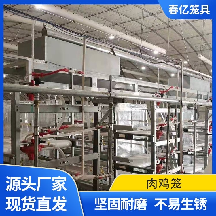 肉鸡笼养设备全自动肉鸡笼养鸡设备 养殖场可用管理方便图3