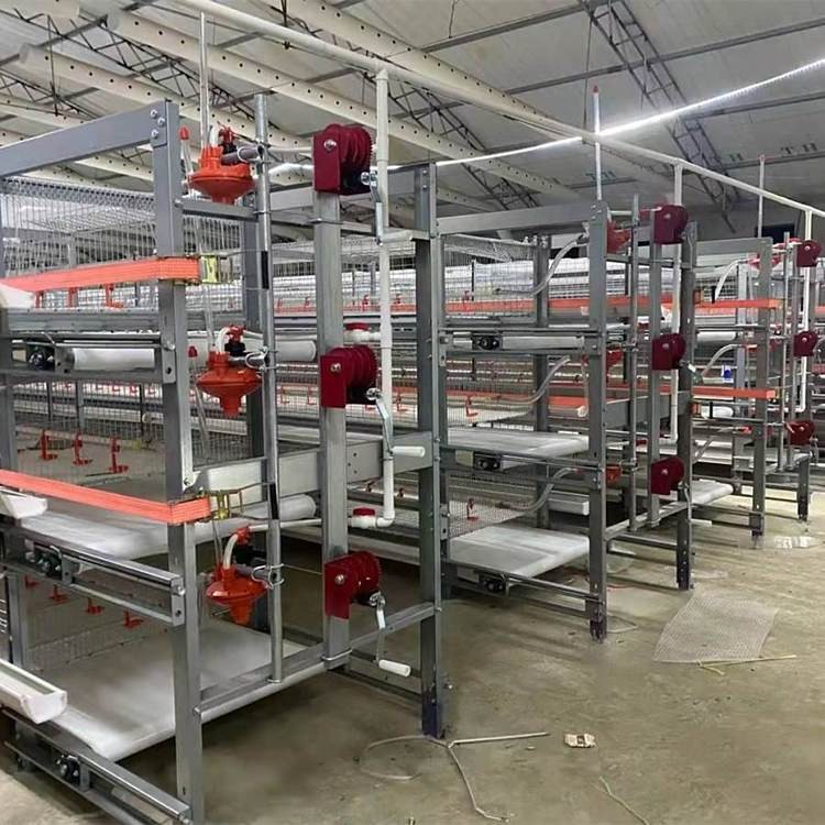 肉鸡笼养设备全自动肉鸡笼养鸡设备 养殖场可用管理方便图2