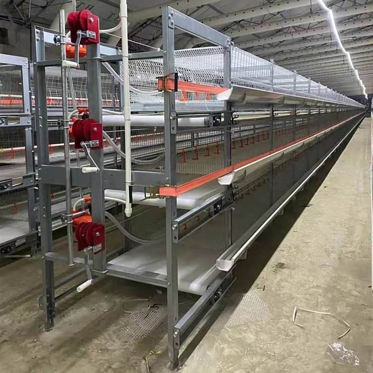肉鸡笼养设备全自动肉鸡笼养鸡设备 养殖场可用管理方便图5