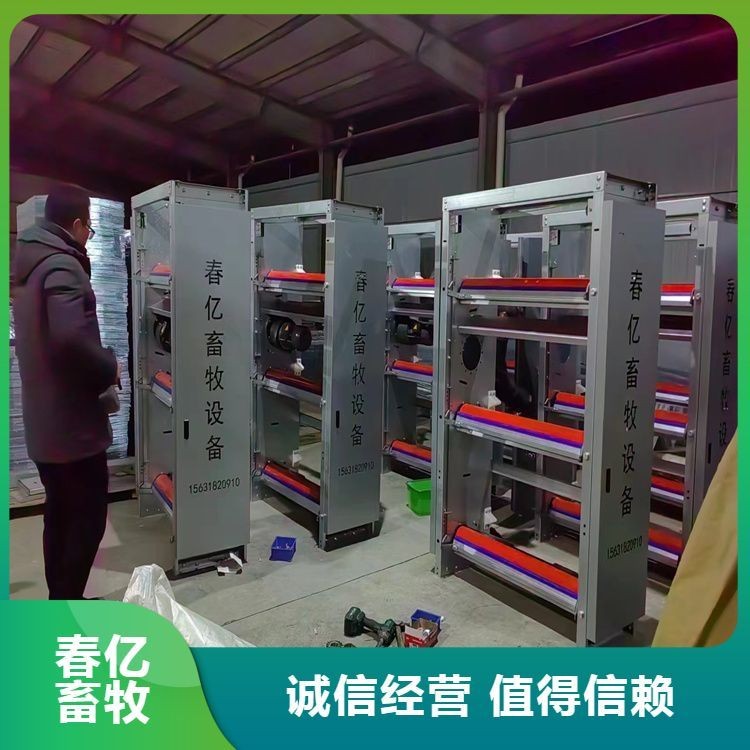 定制层叠式鸡笼养殖设备 四层养鸡场全自动蛋鸡笼 源头厂家