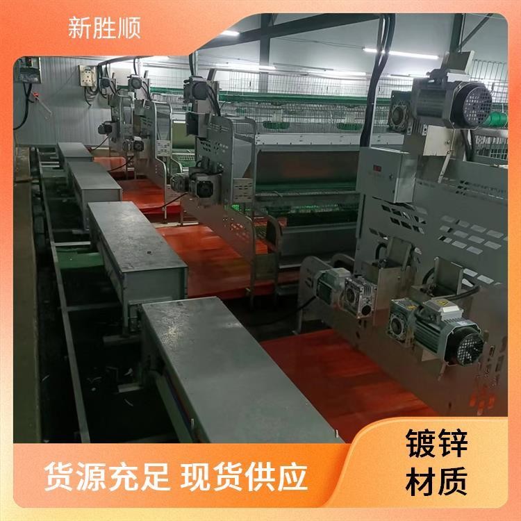 胜顺设备 双层母兔欧式兔笼 防臭 繁殖场所 视野开阔