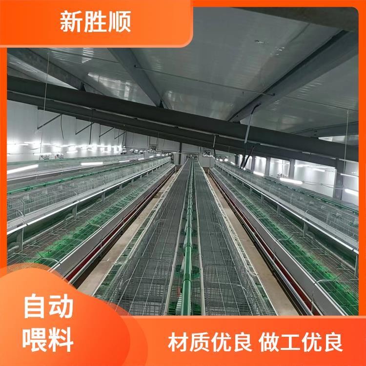 胜顺设备 双层母兔欧式兔笼 防臭 繁殖场所 视野开阔图2