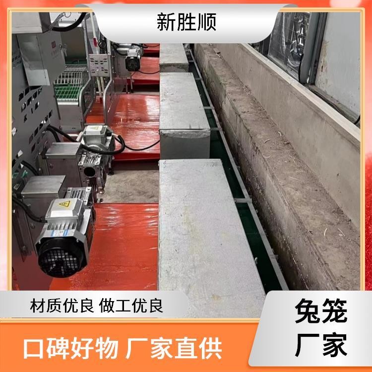 胜顺设备 双层母兔欧式兔笼 防臭 繁殖场所 视野开阔图3