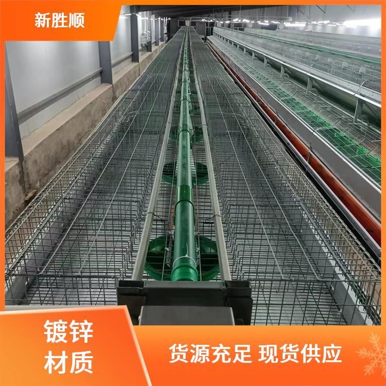 胜顺设备 双层母兔欧式兔笼 防臭 繁殖场所 视野开阔图5