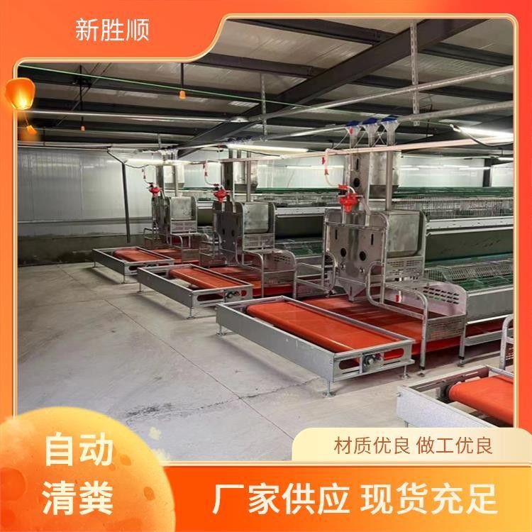 胜顺设备 双层母兔欧式兔笼 防臭 繁殖场所 视野开阔图4