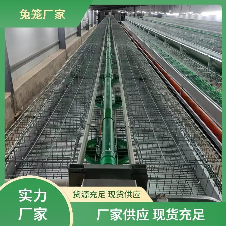 新胜顺畜牧设备 提供种兔 肉兔子笼子 透光性好 提高产量图2