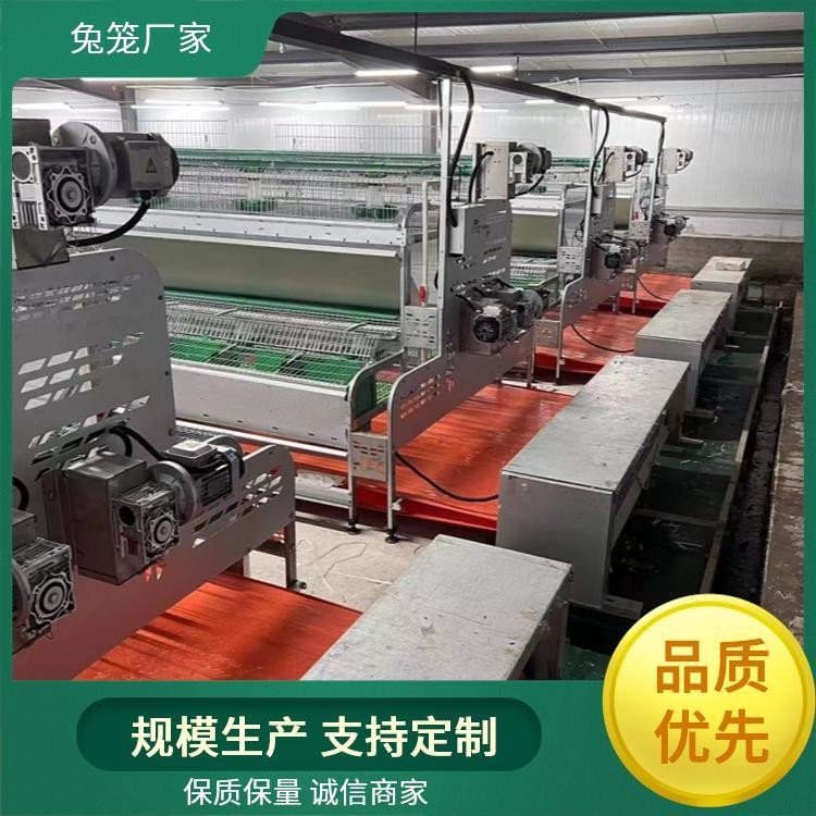 新胜顺畜牧设备 提供种兔 肉兔子笼子 透光性好 提高产量图3