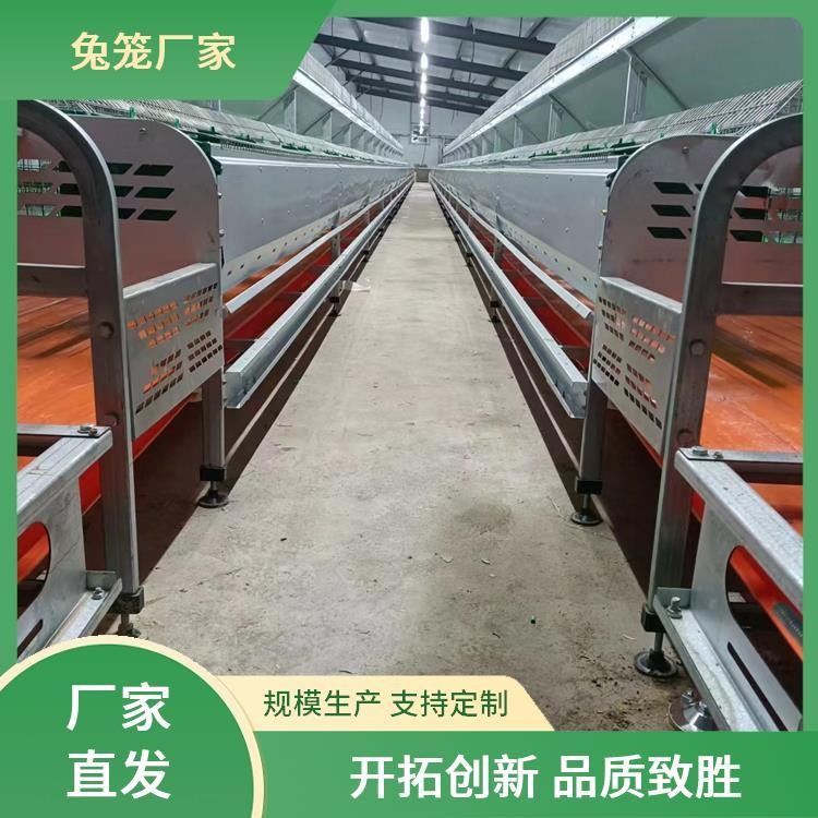 新胜顺畜牧设备 提供种兔 肉兔子笼子 透光性好 提高产量