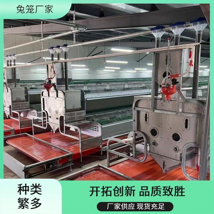 新胜顺畜牧设备 提供种兔 肉兔子笼子 透光性好 提高产量图5