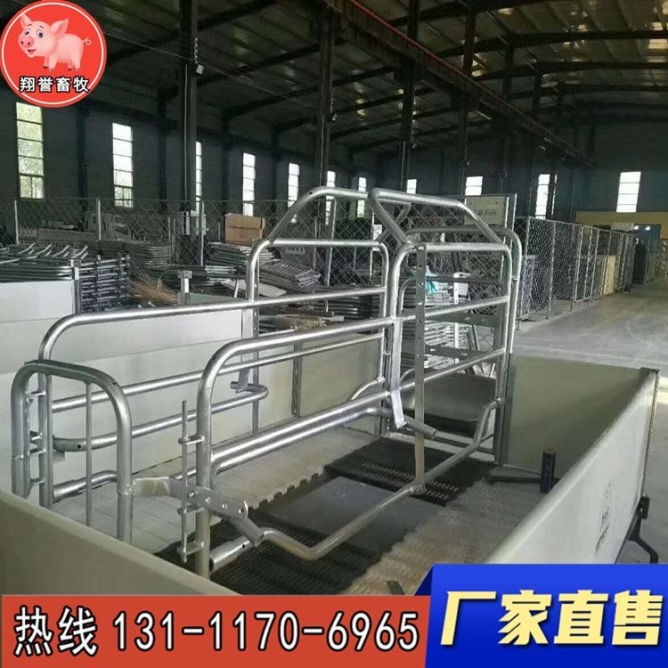 翔誉畜牧 新型欧式母猪产床 复合板仔猪保育床 小猪保育栏 猪笼养猪设备 器械母猪产床定位栏 厂家直销图2