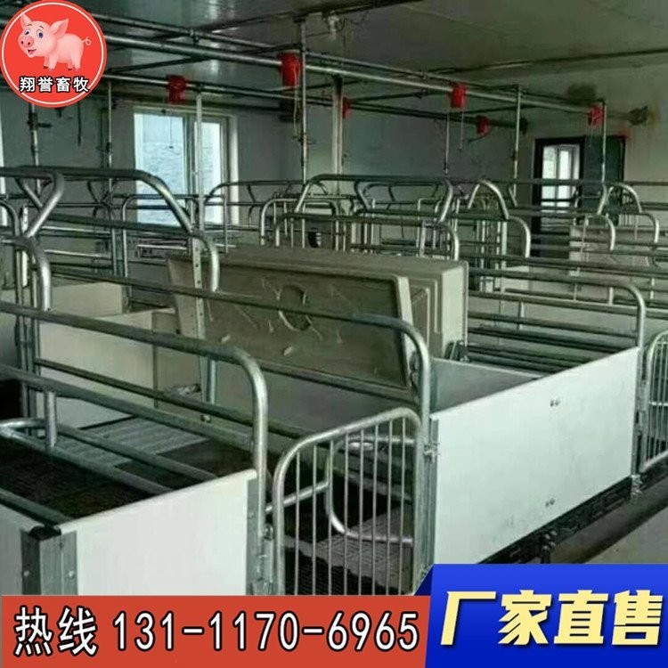 翔誉畜牧 新型欧式母猪产床 复合板仔猪保育床 小猪保育栏 猪笼养猪设备 器械母猪产床定位栏 厂家直销图3