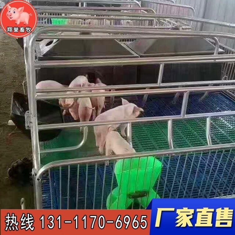 翔誉畜牧 新型欧式母猪产床 复合板仔猪保育床 小猪保育栏 猪笼养猪设备 器械母猪产床定位栏 厂家直销