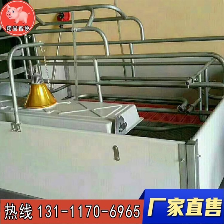 翔誉畜牧 新型欧式母猪产床 复合板仔猪保育床 小猪保育栏 猪笼养猪设备 器械母猪产床定位栏 厂家直销图5