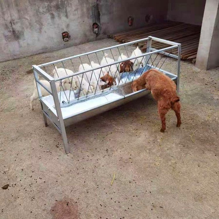 包邮到乡镇羊槽子 喂羊食槽 羊料槽顺丰发货 翔誉畜牧图2