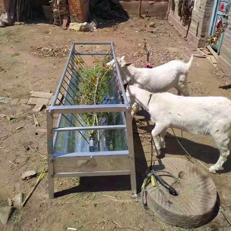 包邮到乡镇羊槽子 喂羊食槽 羊料槽顺丰发货 翔誉畜牧图3