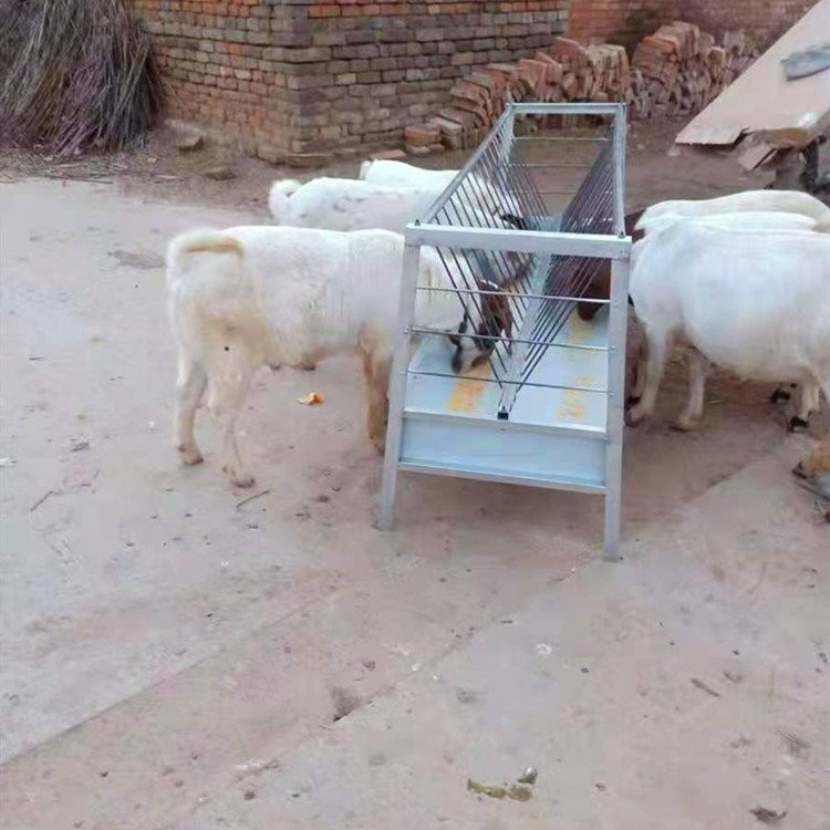 包邮到乡镇羊槽子 喂羊食槽 羊料槽顺丰发货 翔誉畜牧图5