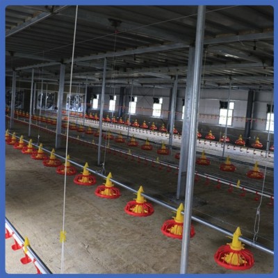 养鸡水线 喂养设备 不易变形 发货较快 拆装简便