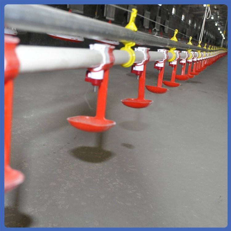 养鸡水线 喂养设备 不易变形 发货较快 拆装简便图4