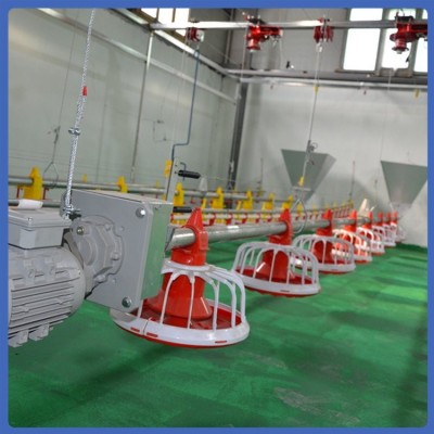 鸡料线 养殖饲喂设备 拆洗方便 紧凑合理 用材优良