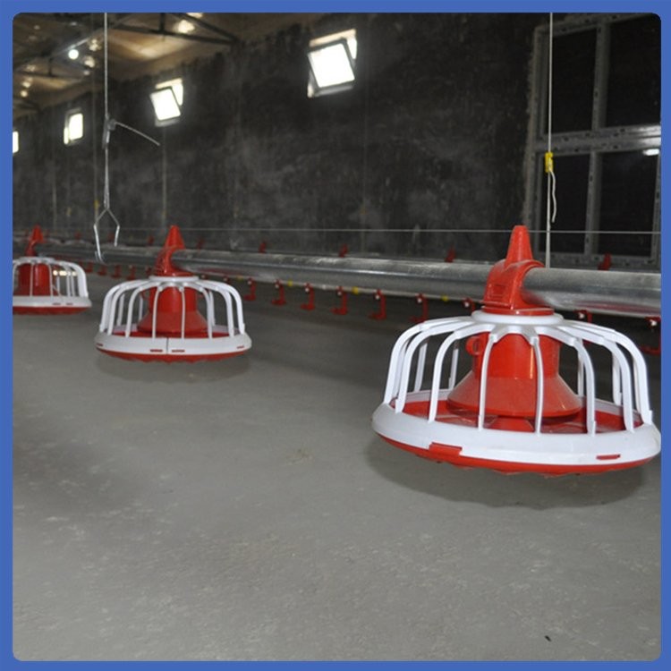 鸡料线 养殖饲喂设备 拆洗方便 紧凑合理 用材优良图2