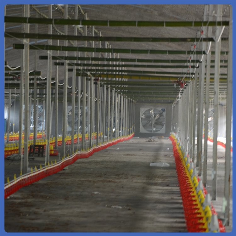 鸡料线 养殖饲喂设备 拆洗方便 紧凑合理 用材优良图5