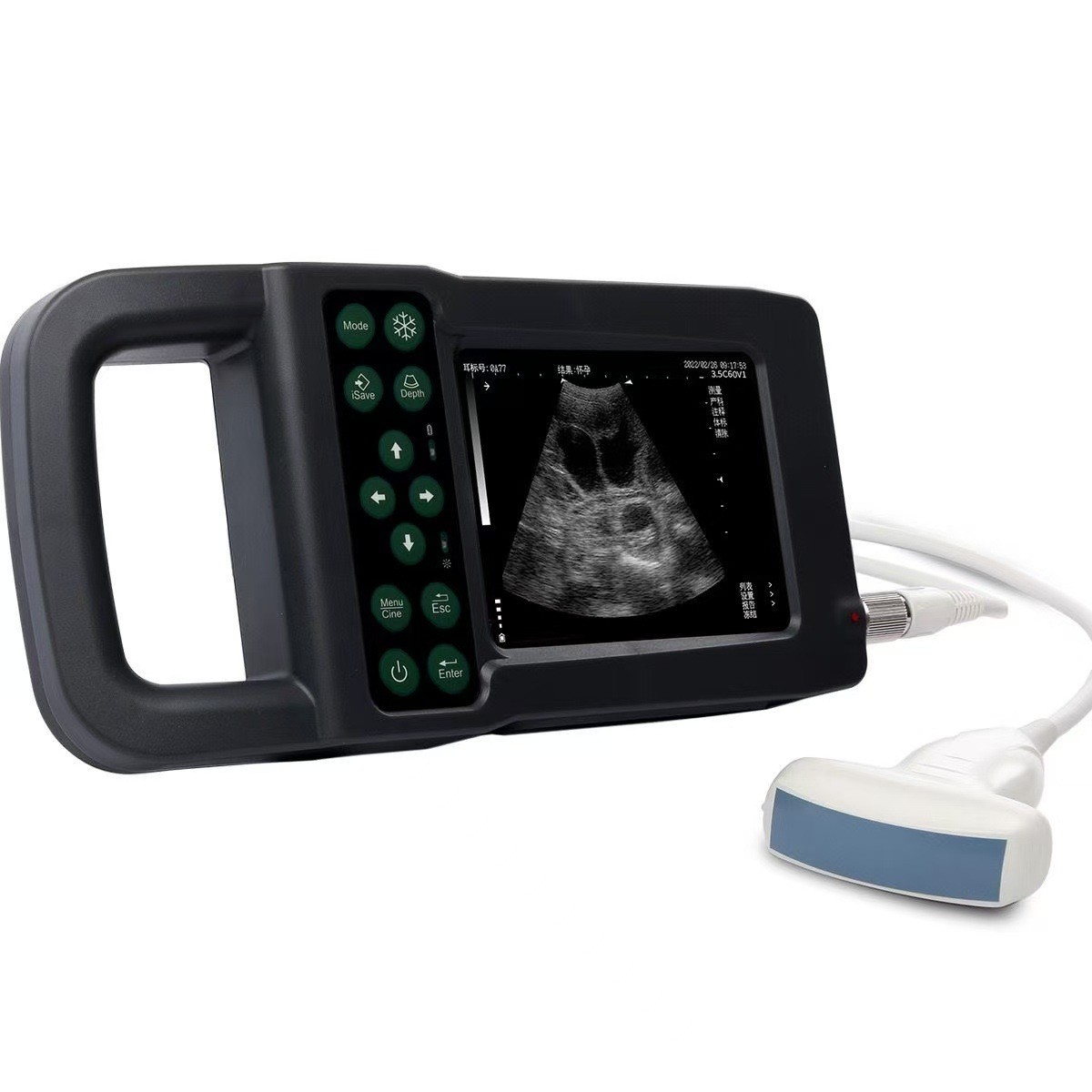 兽用B超机凯信KX5600W背膘测定仪羊孕检仪便携式防水母猪用测孕仪图5
