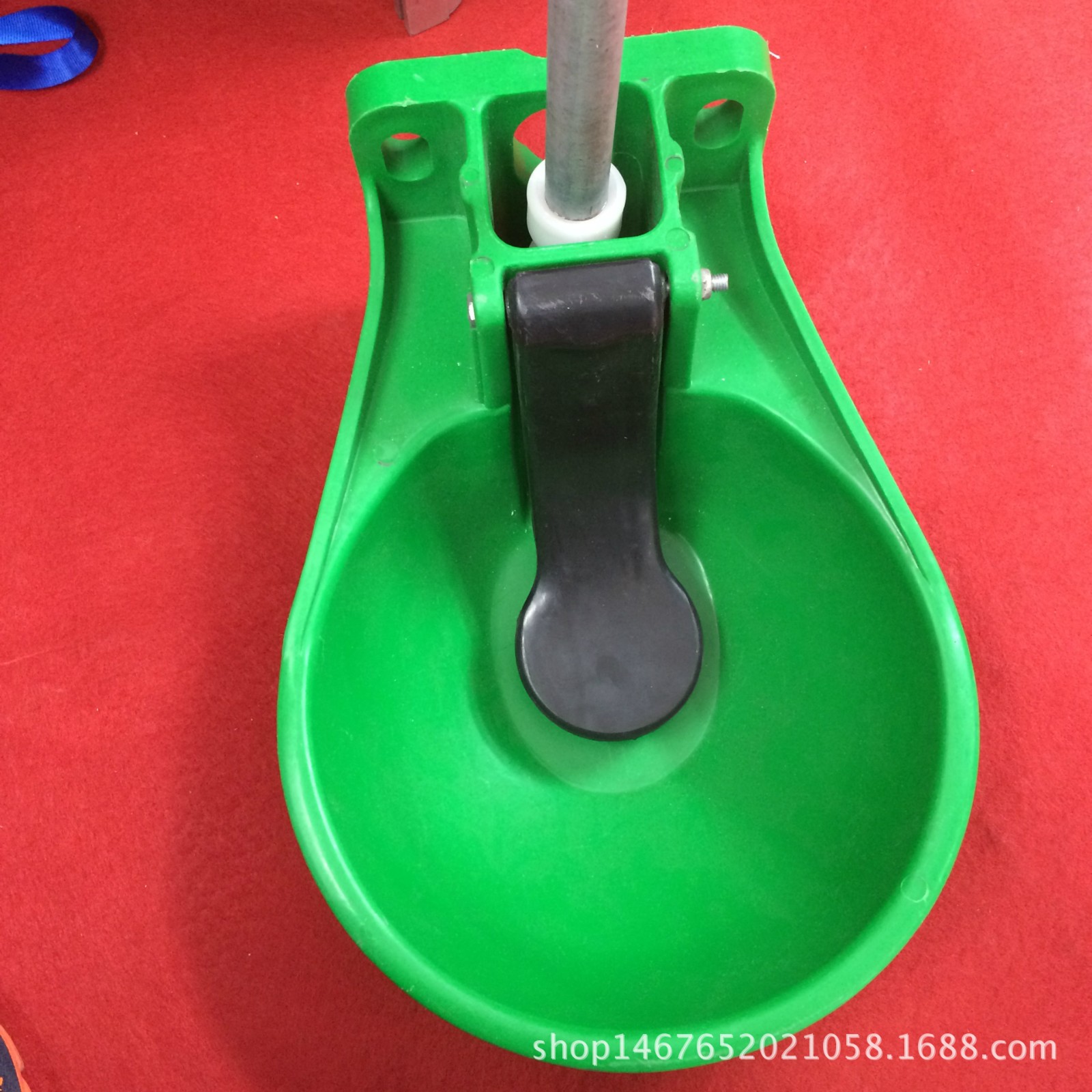 大号加厚塑料牛饮水碗 牛自动饮水器 牛用饮水槽 牛水碗式饮水器图5