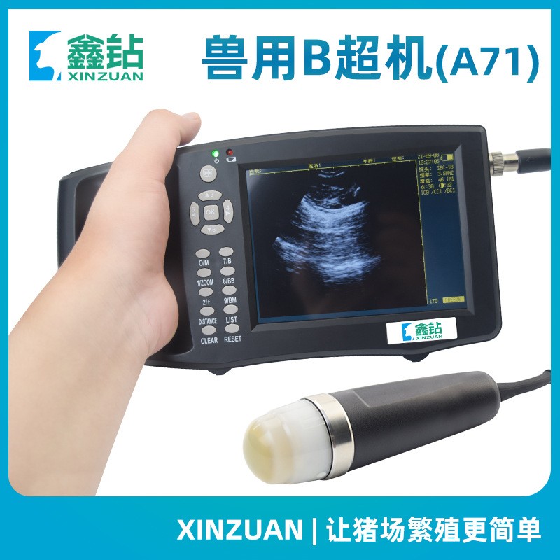 【鑫钻】兽用B超A71 便携兽用B超 动物B超 兽用超声诊断仪