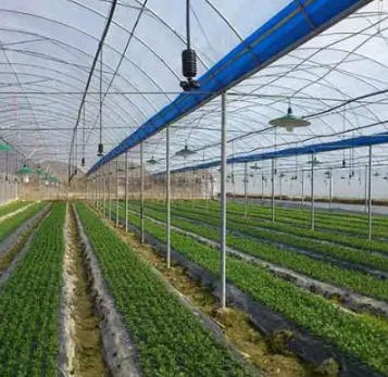 福州雨顺灌溉设备厂家-福州果园自动打药设备（面议）