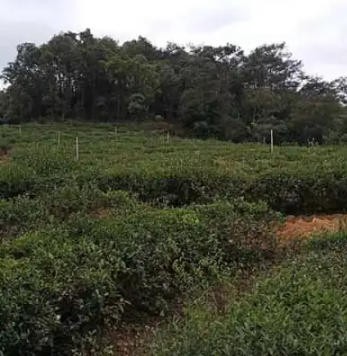 泉州灌溉工程-灌溉工程施工-福州雨顺灌溉(推荐商家)（面议）