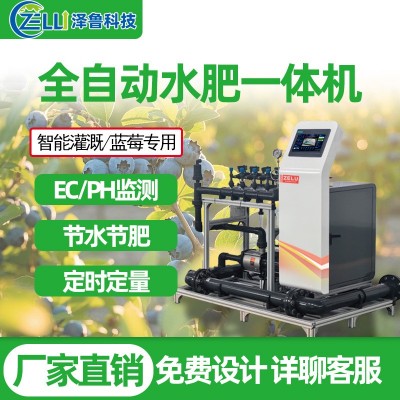 水肥一体机蓝莓精量农业全智能果园农田大棚过滤滴喷灌溉 施肥设备