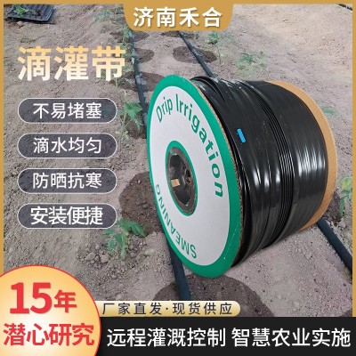 贴片滴灌带小流量滴灌管双孔滴管带玉米单产提升农用灌溉滴灌带