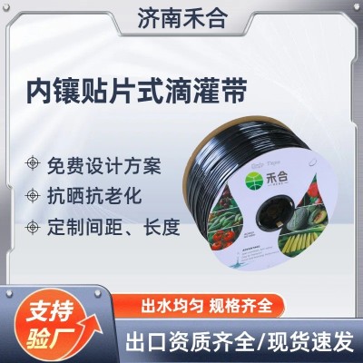 贴片式滴灌带小麦滴灌管滴水带大棚蔬菜双孔抗堵塞内镶贴片滴灌带