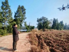 机械化赋能 为粮油产业发展注入强劲动力