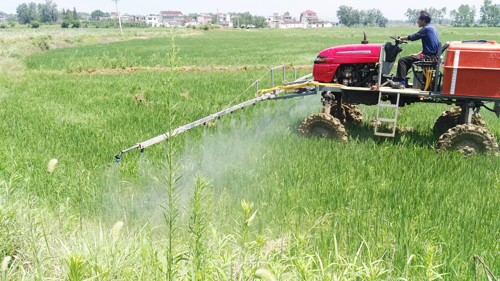 IMG_20170711_111506 IMG_20170711_111506