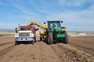 多宝路859土豆收获机（面议）